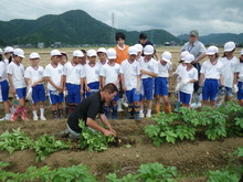 北新庄小学校3年生の子供達が大豆の種蒔きをしました_e0061225_1054767.jpg