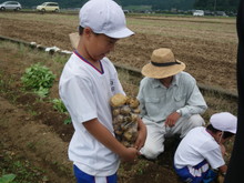 北新庄小学校3年生の子供達が大豆の種蒔きをしました_e0061225_10574242.jpg