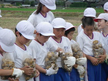 北新庄小学校3年生の子供達が大豆の種蒔きをしました_e0061225_10591371.jpg