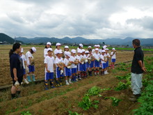 北新庄小学校3年生の子供達が大豆の種蒔きをしました_e0061225_110434.jpg
