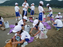 北新庄小学校3年生の子供達が大豆の種蒔きをしました_e0061225_11189.jpg