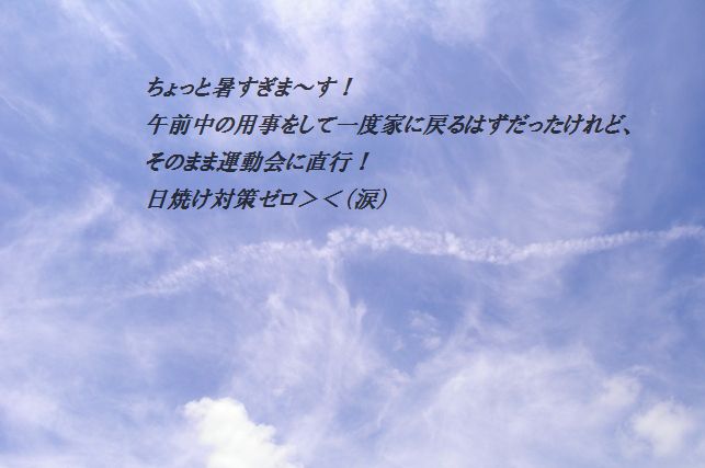 手軽に♪トマトたっぷりチキンキーマ風カレー_d0104926_5121373.jpg