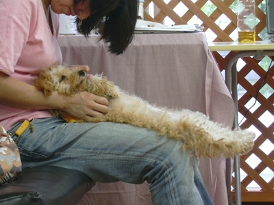パピーパーティー 2010/June.①_e0191026_2111551.jpg