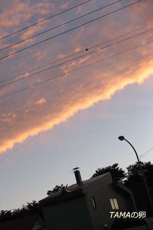c0024729_21592182.jpg