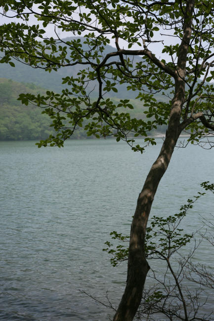 f0017530_2116331.jpg
