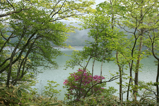 f0017530_21163992.jpg