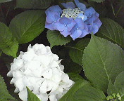c0141431_23363265.jpg
