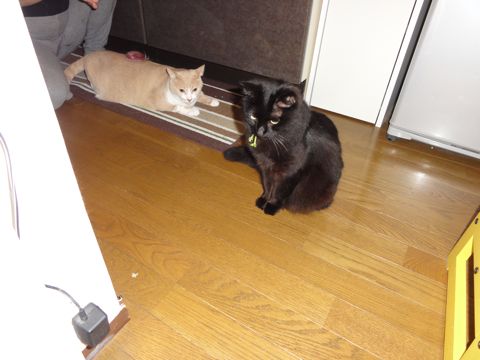 近いうちに何かするという告知。_e0058443_0563181.jpg