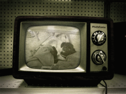 d0175746_0435527.gif