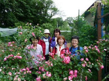 沖縄慰霊の日＆里山ウォーク２０キロ下見_f0019247_1974680.jpg