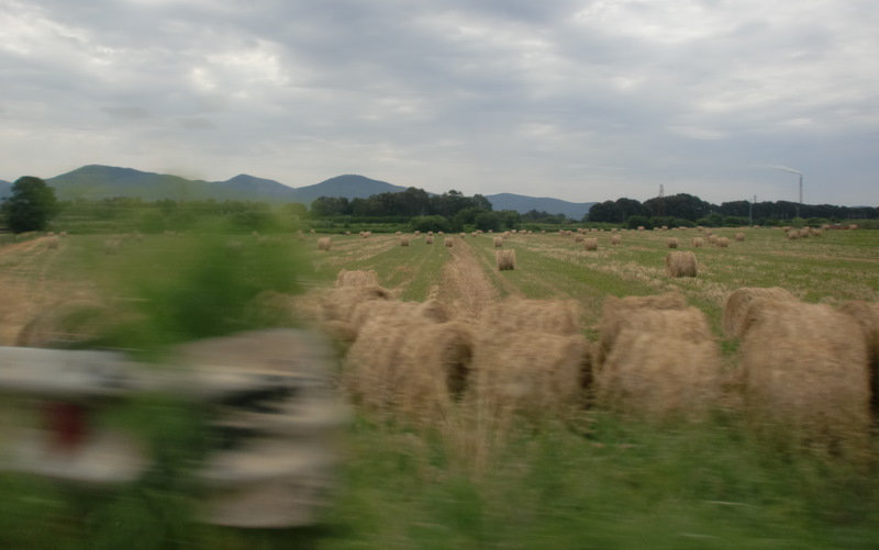 のんびりマレンマ地区をドライブ！_f0203253_0484484.jpg