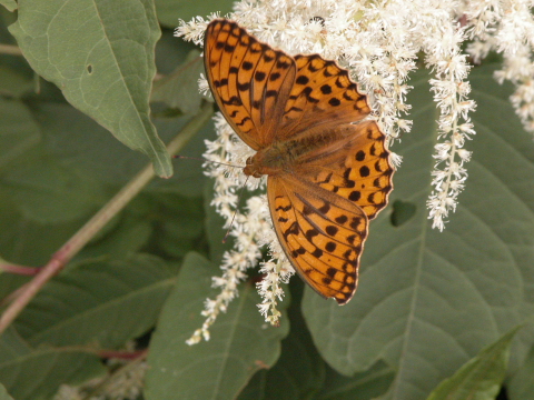 d0176157_0453710.jpg