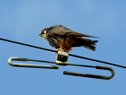 b0165760_21372357.jpg