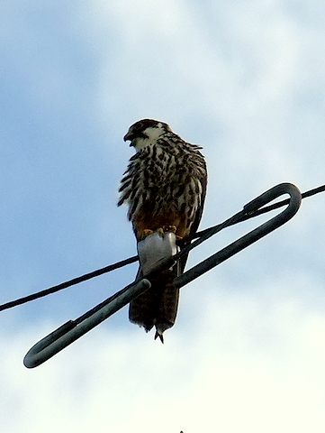 b0165760_21412440.jpg