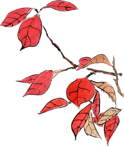 f0232160_1841020.gif