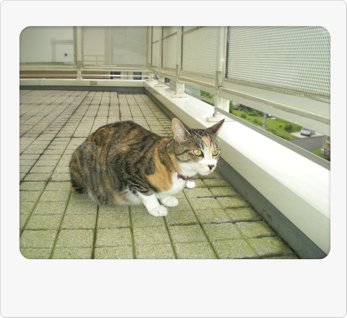 ２０１０年６月２４日（木）梅雨の中休み？_f0060461_11254620.jpg