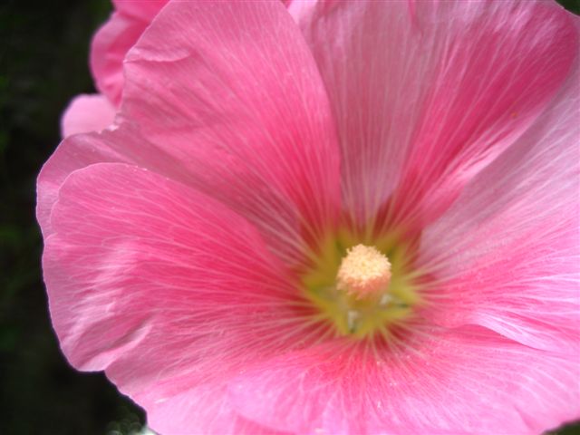 a0123465_22395422.jpg