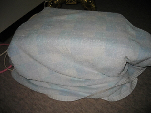 e0142065_9334311.jpg