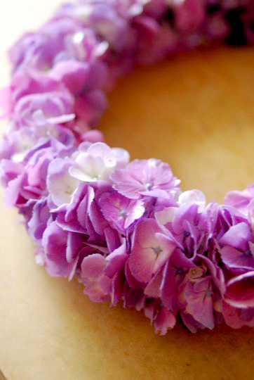 グリーン紫陽花のレイ&ハク 「割引卸し売り」 rdsnicaragua.org