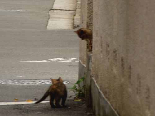 いい日にな〜れ！（かんさつ会・番外編）_f0086169_13173456.jpg