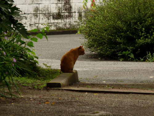 いい日にな〜れ！（かんさつ会・番外編）_f0086169_1339122.jpg