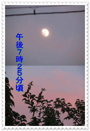 b0149071_924153.jpg