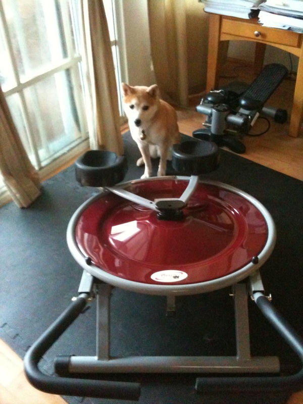 エキササイズマシーン　XX Circle PRO_e0108881_17161632.jpg