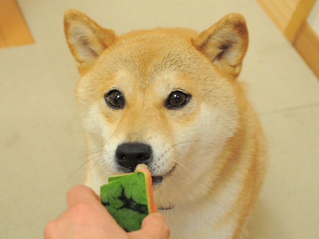 嬉しいお届け物_a0126590_23165093.jpg