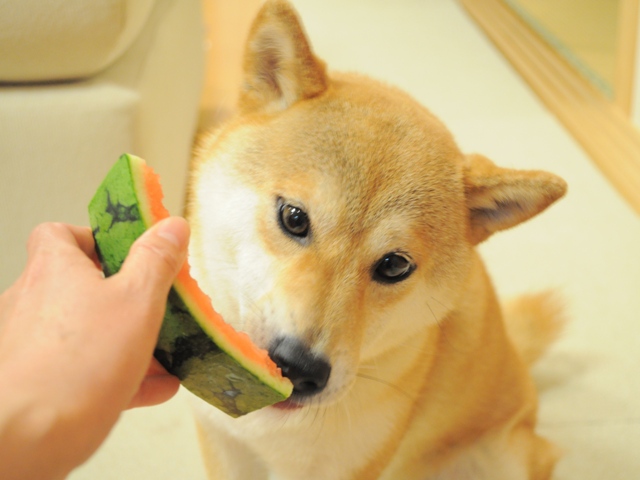 嬉しいお届け物_a0126590_23182094.jpg