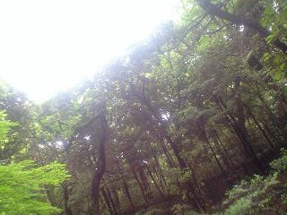 でーとほうこく。_a0155091_018089.jpg