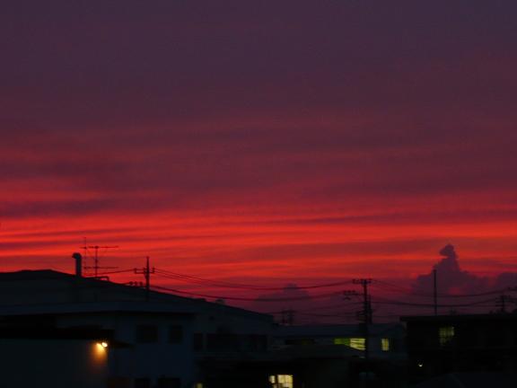 f0224492_10363629.jpg