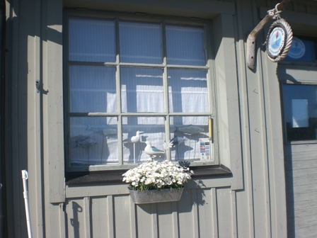 f0083294_23678.jpg
