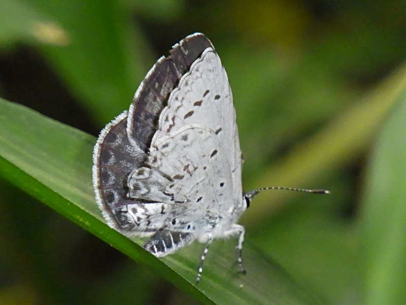 f0204094_0225225.jpg