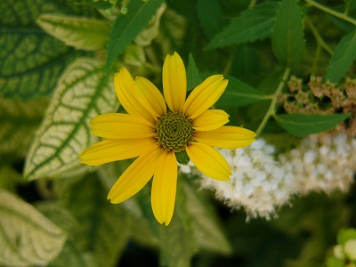 a0123003_19185935.jpg