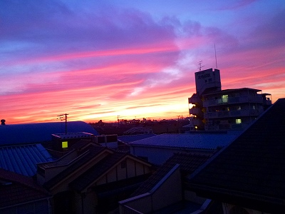 f0197504_858820.jpg