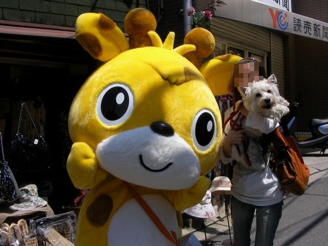 f0039907_0112948.jpg