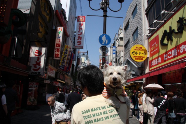 ２０１０年ＧＷ　今年も関西へ行くぞ～！～３日目　大阪＆静岡編～_f0039907_051725.jpg