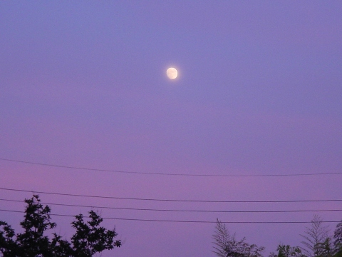 b0026408_016327.jpg