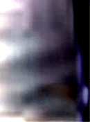 e0103408_13101163.gif
