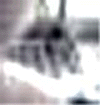 e0103408_1316955.gif