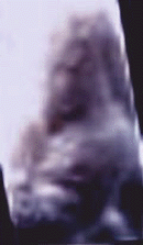 e0103408_1394224.gif