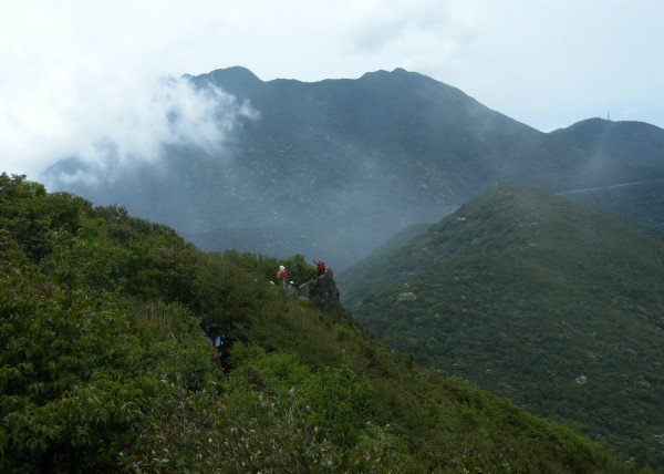 九千部岳　2010.06.24_f0196109_7355945.jpg