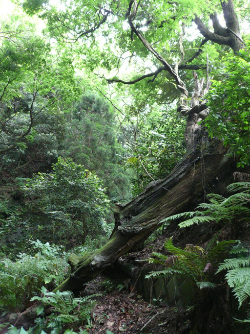f0201310_17183077.jpg