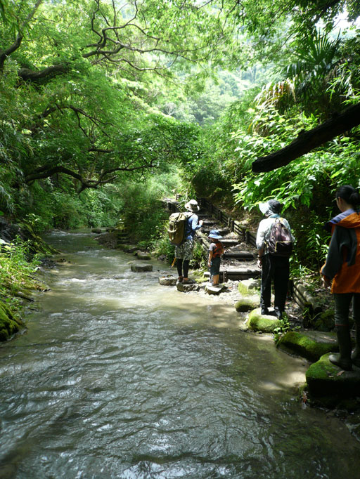 f0201310_1718385.jpg
