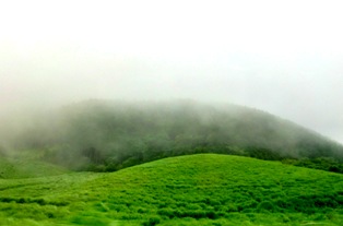 f0236311_8222372.jpg