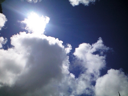 a0031617_12522881.jpg