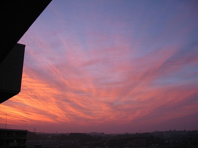 a0111621_149077.jpg