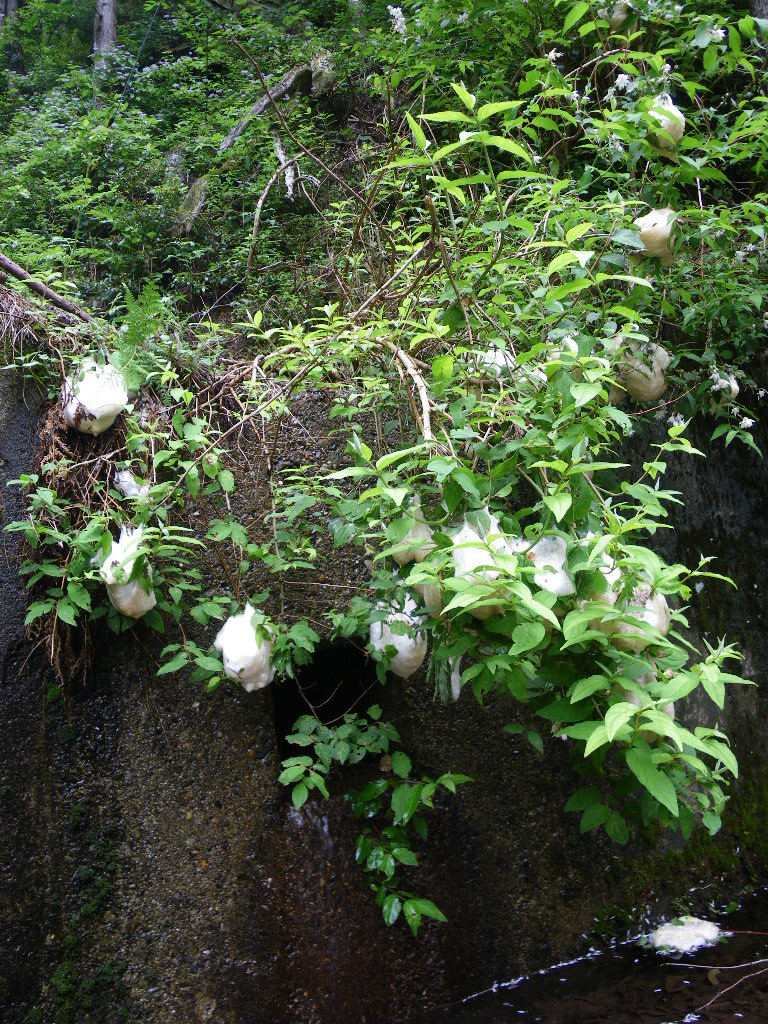 c0189724_22415375.jpg