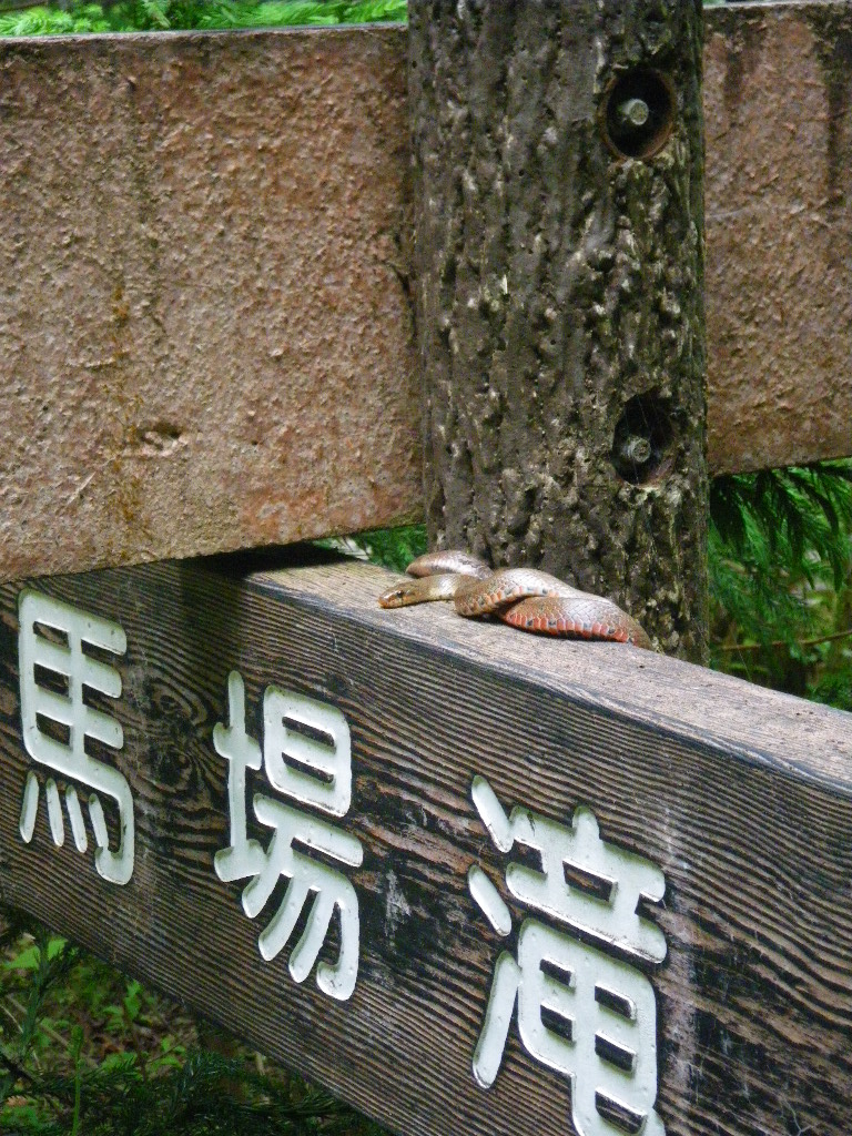 c0189724_22454056.jpg