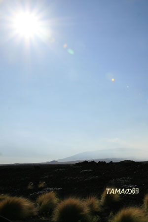 c0024729_20444511.jpg